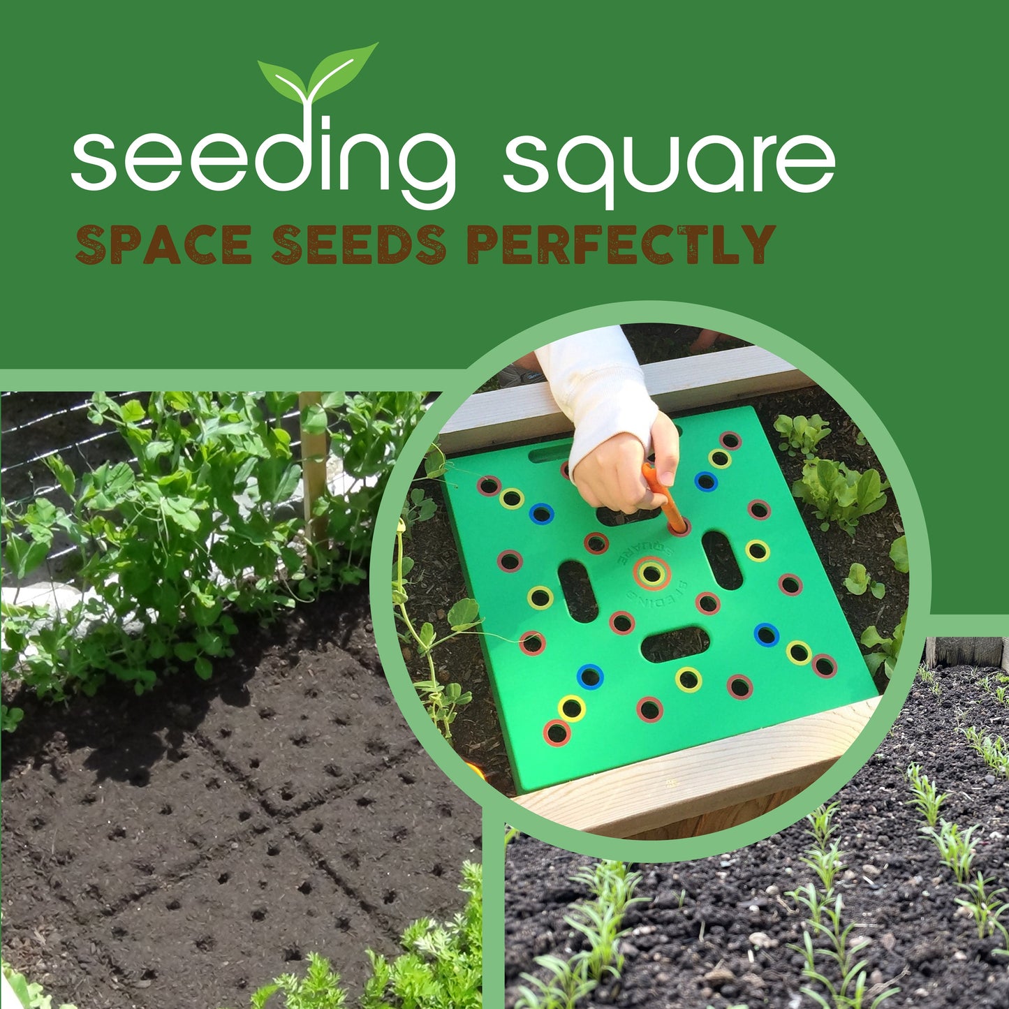 1 Seeding Square