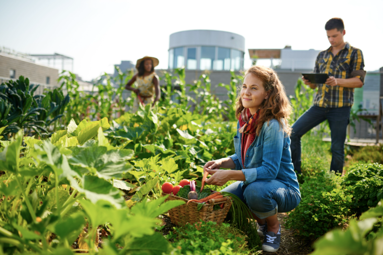 Growing Savings: How Planting a Garden with Seeding Square Can Slash Your Grocery Bill