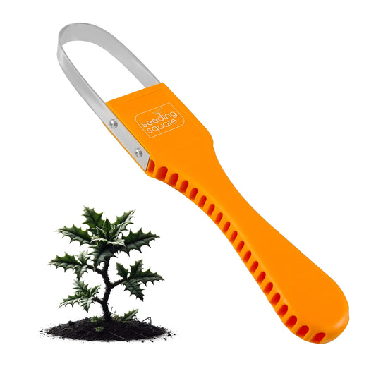 The Sneaky Weeder by Seeding Square