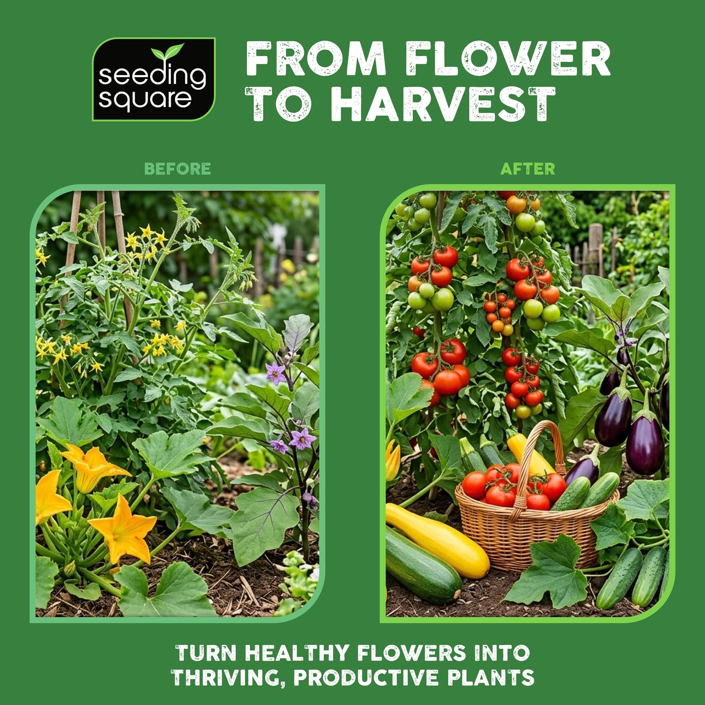 Handheld Pollinator Tool for Vegetable Gardening by Seeding Square