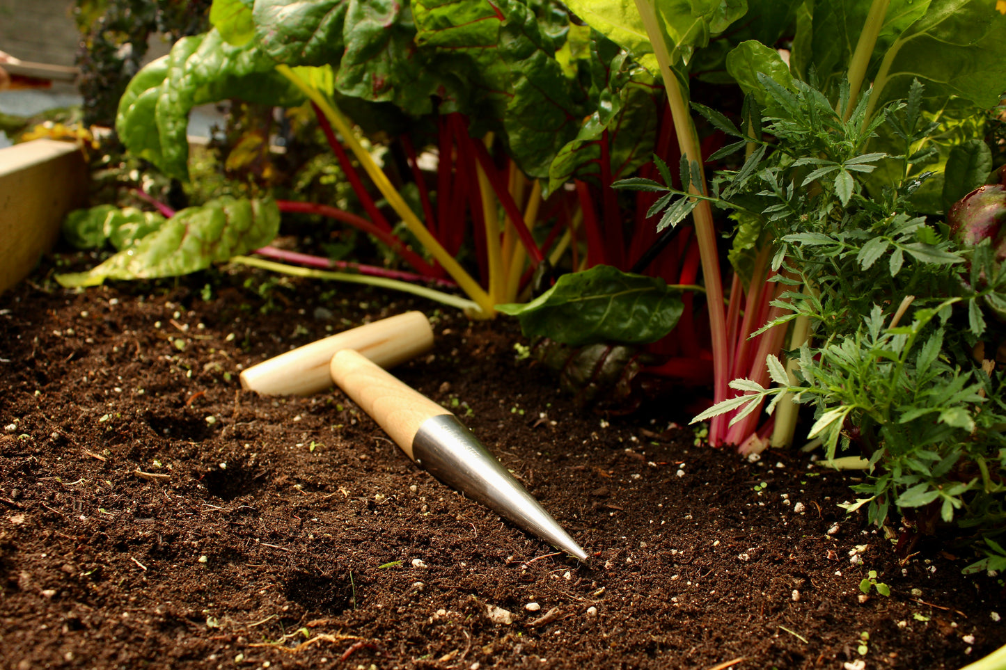 Pokey Planter - Stainless Steel & Wooden Handle Tool - for Planting Bulbs & Seedlings