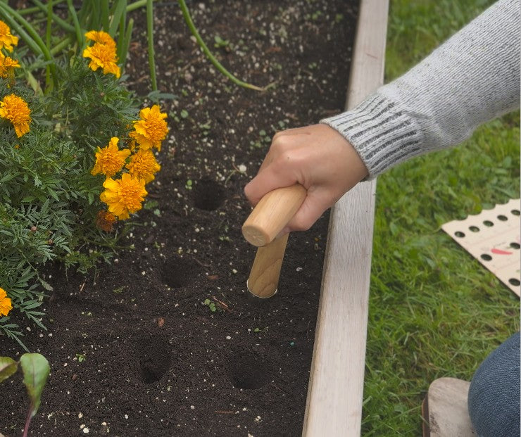 Pokey Planter - Stainless Steel & Wooden Handle Tool - for Planting Bulbs & Seedlings